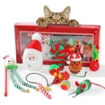 thumbnail image 6 of PAWZ Road Interactive 10-Piece Cat Toy Set with 4 Balls & 2 Catnip Mice & 2 Cat Teaser Sticks, 6 of 10