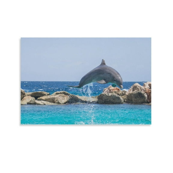 Bottlenose Dolphin Poster Decorative Painting Canvas Wall Art Living Room Posters Bedroom Painting,Unframe-style,16x24inch(40x60cm)