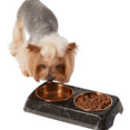 thumbnail image 2 of Frisco® Copper Stainless Steel Double Pet Bowl with Marbled Stand, 2 of 5