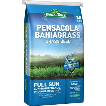 Pensacola Bahia Grass Seed (Coated) - 50 Lbs. - Walmart.com