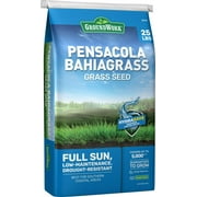 GroundWork Pensacola Bahia Grass Seed, 25 lb.
