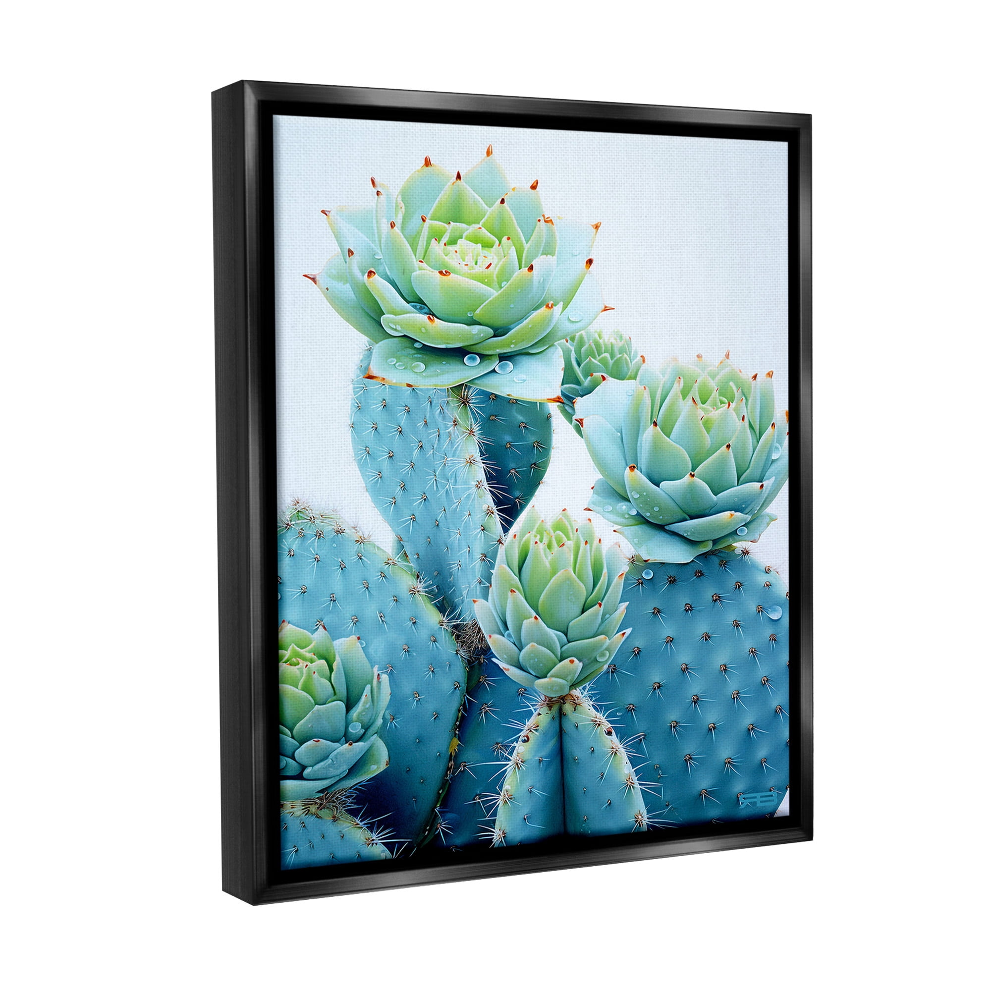 Stupell Industries Cactus with Succulent Blooms Botanical & Floral Painting Black Floater Framed Canvas Art Print Wall Art, 17 x 21