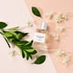 thumbnail image 5 of Blossom de Clean para mujeres - EDP en spray de 2 oz Clean Clean EDP Spray 2.14 oz, 5 of 6