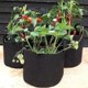 thumbnail image 3 of Bolsas de cultivo de patatas de 10 galones, paquete de 6, bolsa de plantación de jardín con ventana de dos lados con mango duradero, macetas de tela no tejida gruesa bolsas de cultivo de ver, 3 of 5