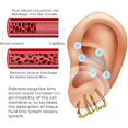 thumbnail image 3 of Pendientes Sure de 2 Ps, pendientes Sure sin perforaciones de Zunis, pendientes Sure------Código de producto 68512, 3 of 5