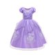 thumbnail image 1 of Disfraz de Sofía de dibujos animados para niñas, traje de princesa con apliques florales, para baile, Carnaval, Sofía, Cosplay Fivean unisex, 1 of 2
