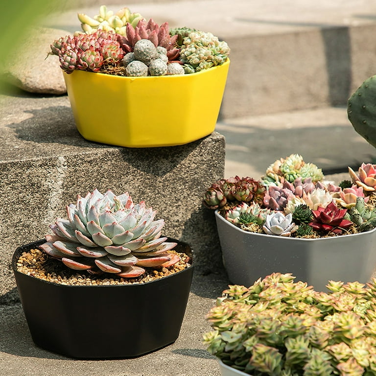 PATLOLLAV Succulent Planter Pots with Drainage Hole 5.92.6 inch Round Shallow  Flower Pot Plastic Modern Design Pot Planter for Indoor Plants Cactus All  House Garden Outdoor Bonsai Pot - Walmart.com
