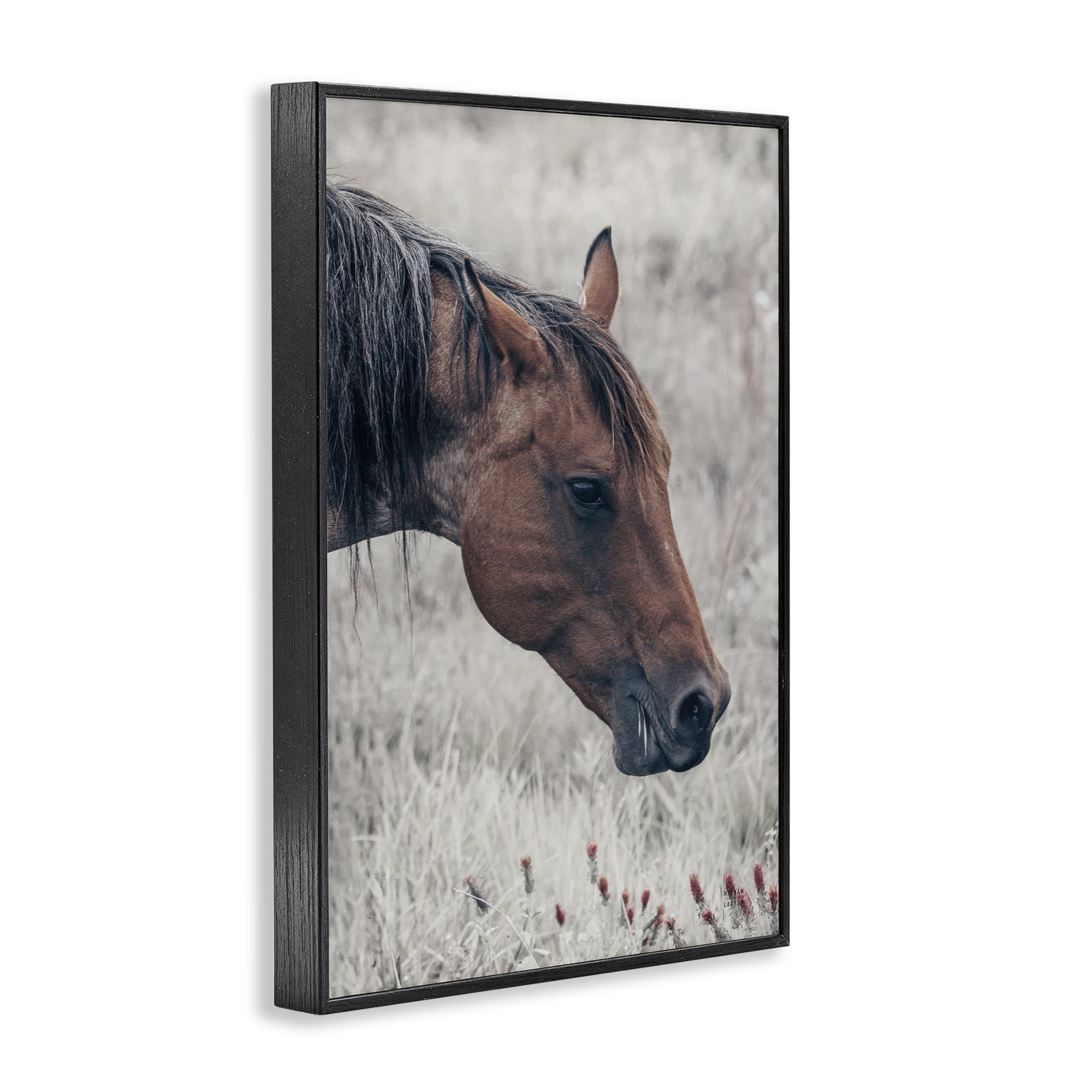 Stupell Industries Mother Horse Grazing in Meadow Black Framed Giclee Art, design by Nathan Larson