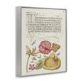 thumbnail image 3 of Stupell Industries Cottage Woodland Wildlife Study Gray Framed Giclee Art, 11 x 14, by Grace Popp, 3 of 8