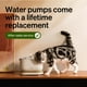 thumbnail image 2 of Bomba Inalámbrica PETLIBRO Blanca súper Silenciosa para Fuente de Agua para Gatos y Perros, 2 of 5