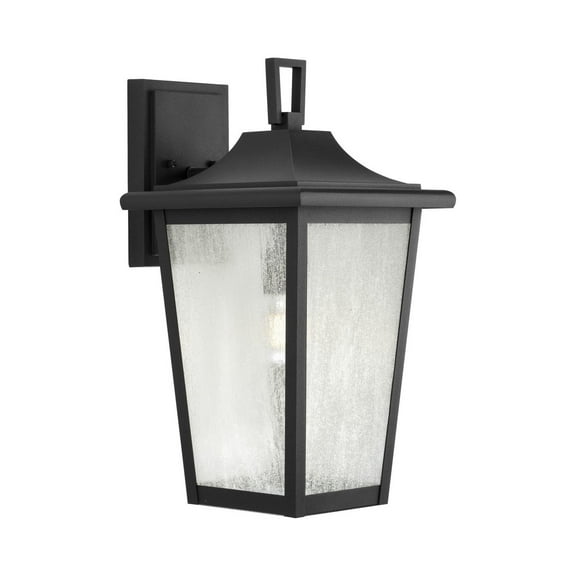 Padgett Collection One-Light Transitional Textured Black Clear Seeded Glass Outdoor Wall Lantern