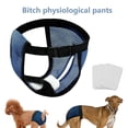 thumbnail image 1 of Calzoncillos lavables sanitarios para pañales para perros hembra (Azul M) Ndcxsfigh  Para estrenar, 1 of 9