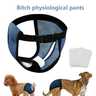 Pet Sanitary Pants Adjustable Band Menstruation Shorts Washable