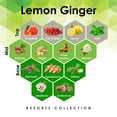 thumbnail image 4 of Lemon Ginger 4 oz Refill for Oil Diffuser with Lemon, Ginger, Cedarwood, & More Notes Experienced at Nobu Hotel, 4 of 4