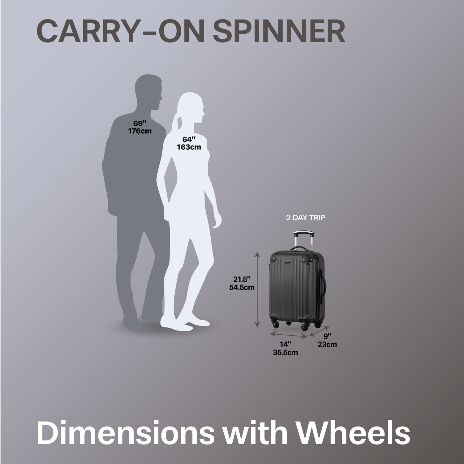 Valise de Cabine rigide à roulettes de 20-po de Jetstream Bagage à main
