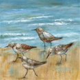 thumbnail image 1 of Sandpipers III Poster Print by Nan, 12 x 12 - Small, 1 of 1