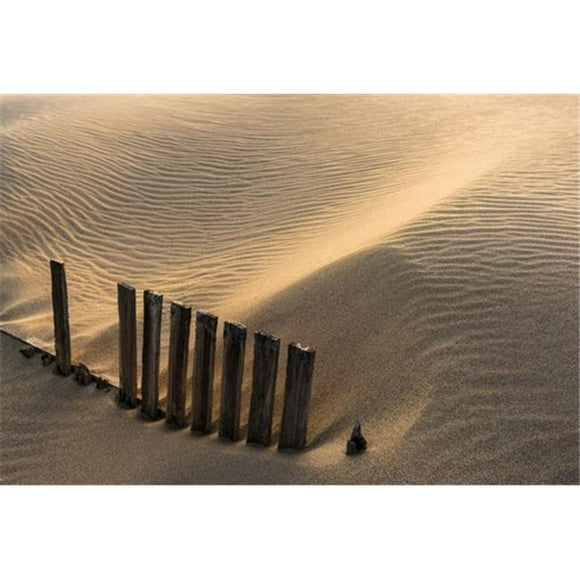 Posterazzi DPI12284903LARGE Punta Paloma Sand Dunes - Tarifa Costa De La Luz Cadiz Andalusia Spain Poster Print by Ben Welsh, 38 x 24 - Large