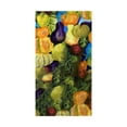 thumbnail image 1 of Betsydrake BT1159 Gourds II Beach Towel, 1 of 1
