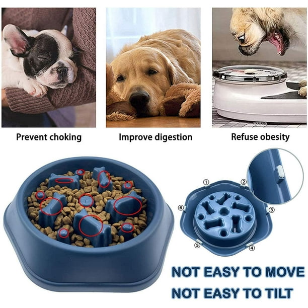 Walmart slow feeder dog cheap bowl