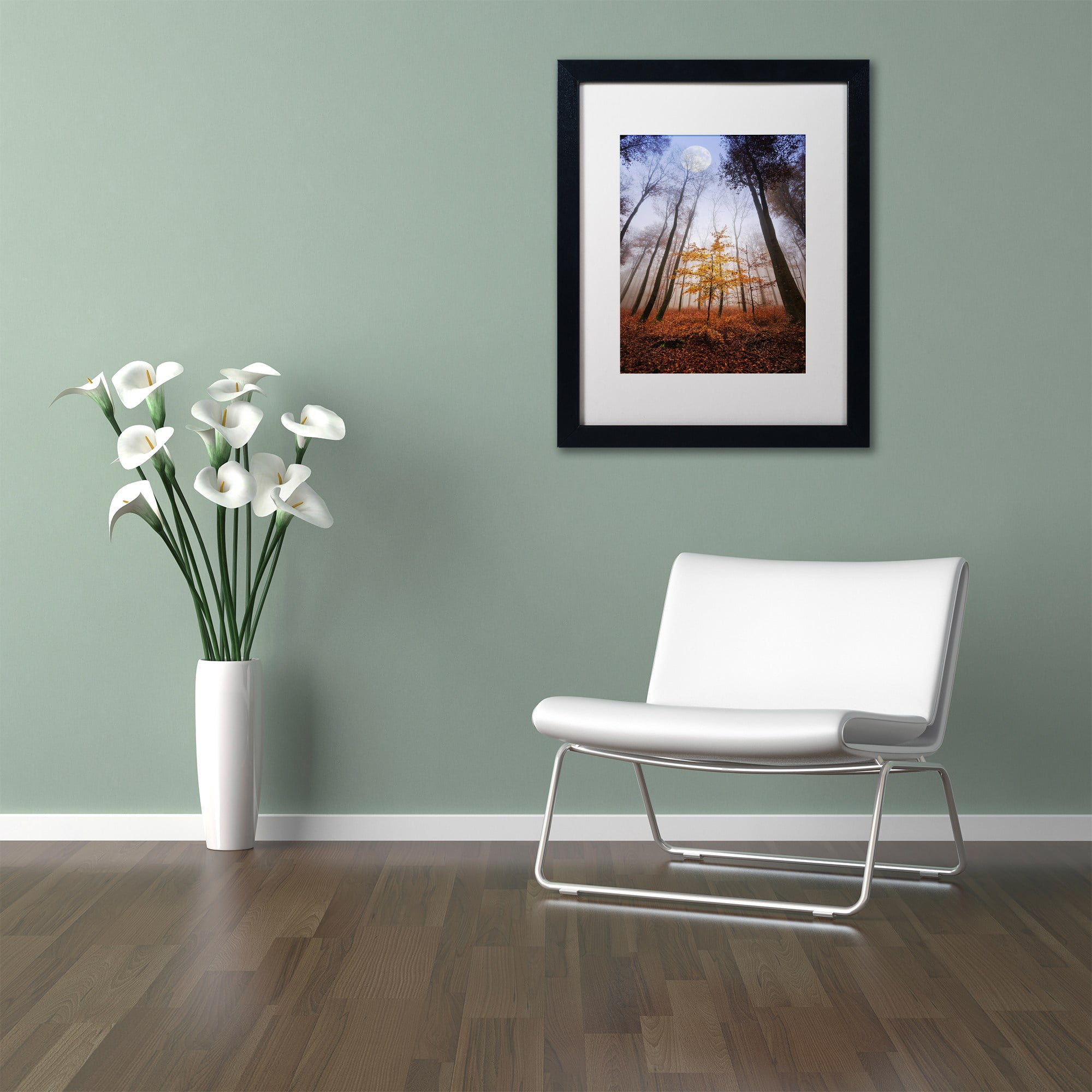Trademark Fine Art "Sentinel" Canvas Art by Philippe Sainte-Laudy White Matte, Black Frame
