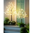 thumbnail image 3 of Indoor/Outdoor Electric Lighted Faux Dogwood Tree 4' Tall, 3 of 4