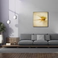 thumbnail image 4 of Epic Graffiti 'Grasses 2' by Jessica Rogers, Canvas Wall Art, 37"x37", 4 of 8