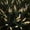 A, variant on Solar Lights Outdoor Waterproof Frosted Reed Stake Lights 6 Head Solar Powered Outside Summer Patio Garden Lawn Yard Walkway Pathway Landscape Ground Lamps,A