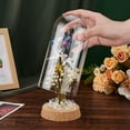 thumbnail image 3 of Glass Display Dome Cloche 7.3x3.5inch Glass Bell Jar with Cork Small Glass Bottles Dome Decorative Jars Cloche Display Case for Flower Storage Home Christmas Party Favor Decoration, 3 of 6