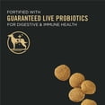 thumbnail image 3 of Purina Pro Plan Development Lamb & Rice Formula, Dry Puppy Food, 3 of 10