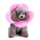 thumbnail image 4 of Collar protector de cono para mascotas, collar ligero y cómodo, 4 of 5