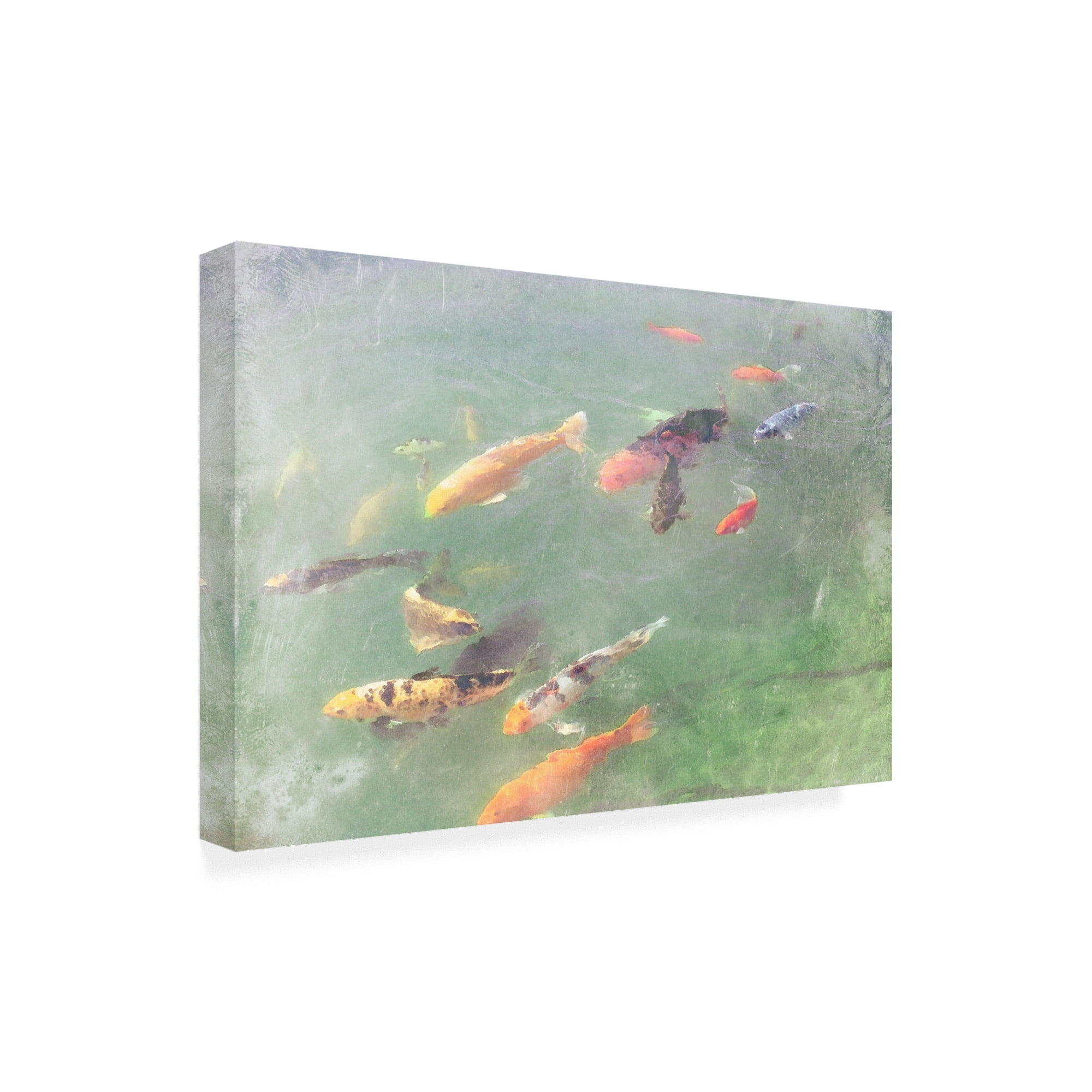 Trademark Fine Art 'Koi Reflections I' Canvas Art by Alicia Ludwig