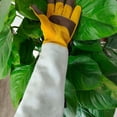 thumbnail image 4 of Gardening Gloves for Men & Women, Long Sleeve Thorn Proof Garden Gloves with Forearm Protection - XL, 4 of 5