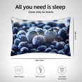 thumbnail image 6 of Easygdp Blueberry Pillowcase 20×30 inches, Throw Pillowcase with Invisible Zipper for Bedroom, Sofa, Office, 6 of 8