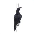 thumbnail image 1 of Colgante De Cuervo Muerto Simulado, Espantapájaros, Decoración De Cuervo Negro Para Halloween, Jardín, Patio, Césped Yuarrent VI011543-00, 1 of 6