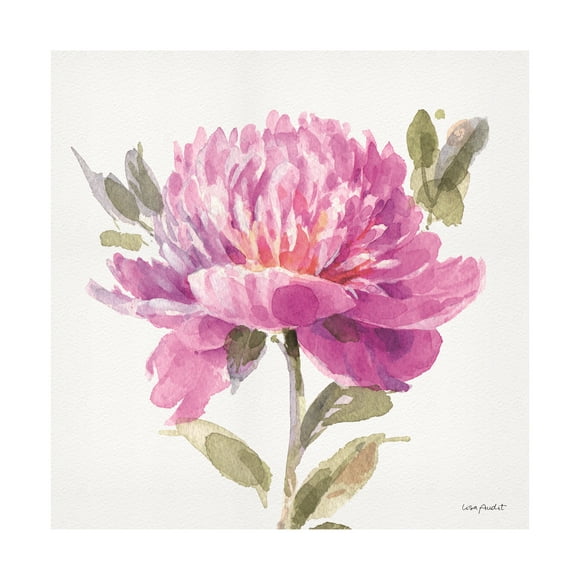 Lisa Audit 'Obviously Pink 05' Canvas Art