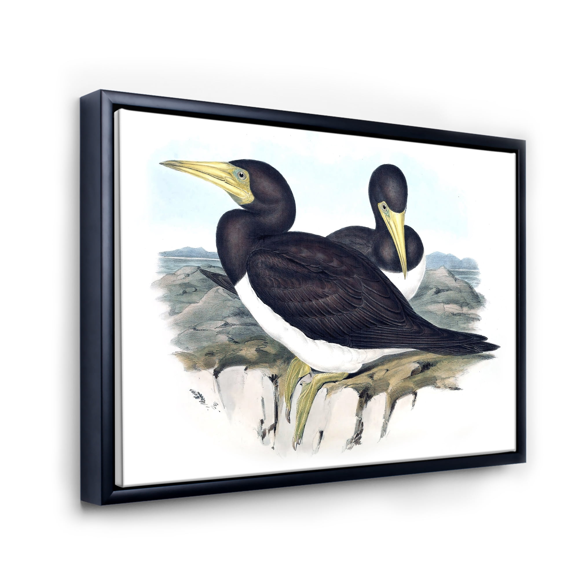 Ancient Australian Birds XII 40 in x 30 in Framed Painting Canvas Art Print, by Designart