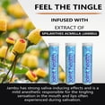 thumbnail image 7 of Xero Picks Wellness Flavored Toothpicks Joint Health with Curcumin & Glucosamine (Blueberry , 3 Pack), 7 of 7