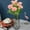 Hot Pink, variant on Danhjin False Carnations High-end Artificial Flowers Carnation Artificial Flowers 5 Forks and 10 Carnations Home Decoration Plastic Flowers