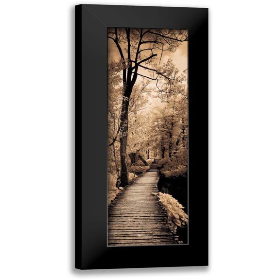 Szilagyi, Ily 7x14 Black Modern Framed Museum Art Print Titled - A Quiet Stroll I