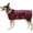 Burgundy, variant on Schneiders Quilted Lightweight Dog Coat | Closed Front | Black | Size X-Small