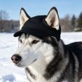 thumbnail image 4 of Dog Baseball Cap, Dog Sun Hat,Breathable Lightweight Design, Secure Adjustable Chin, Quick-Dry Fabric Reinforced Brim Small Medium Large Dogs Black, 4 of 5