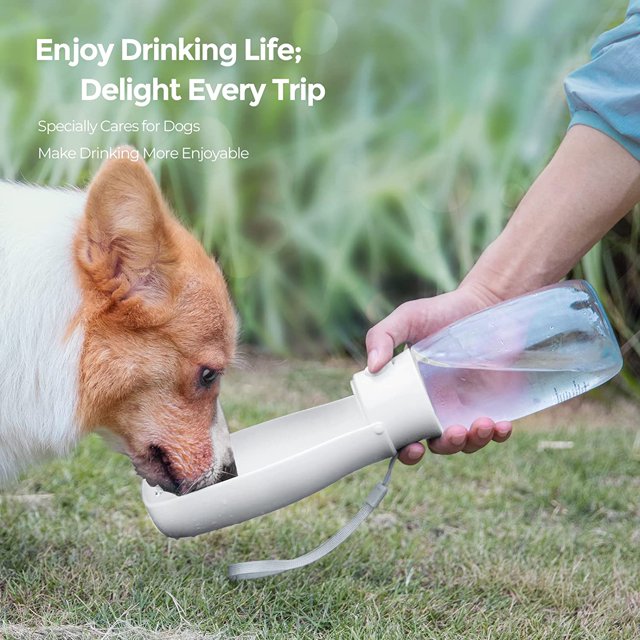 Botella de Agua para Perros 550ml: Botella de Agua Portátil para Perros a Prueba de Fugas, Sin BPA, Botella de Agua para Perro, Gato, Mascota, Blanca Rojo Verde MX-0126434FYD