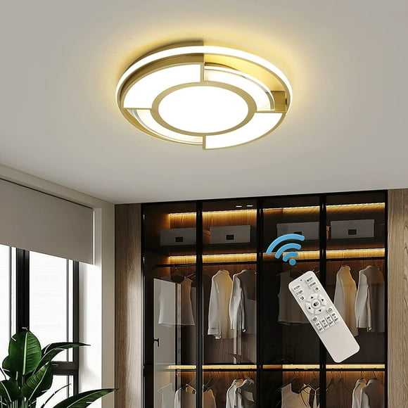 Remote Controlled Ceiling Light Fixture
