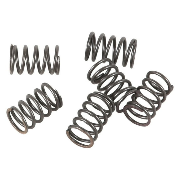 EBC CSK Series Heavy Duty Clutch Spring Kit