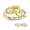 SS925/Gold Plated, variant on USA PJM Custom Women’s Class Ring Sterling Silver 925 for High School & College Graduation