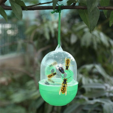 Wasp Fly Flies Bee Insects Hanging Trap Catcher Killer No Poison Or