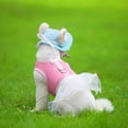 thumbnail image 4 of Sombrero de princesa para perro, sombrero de béisbol para mascotas con ala redonda, gorra porosa de malla para perro, azulS, 4 of 5
