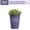 QT, variant on "ELEMENT BY ALTMAN PLANTS 6.5"" LANDSCAPE SUCCULENT"