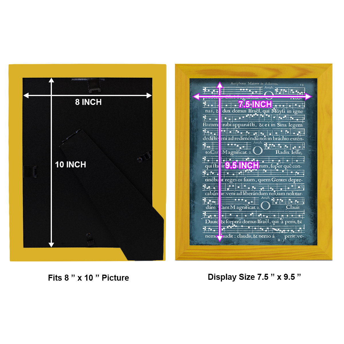 Graphic Songbook III - Framed Print w/glass - Sunflower Yellow