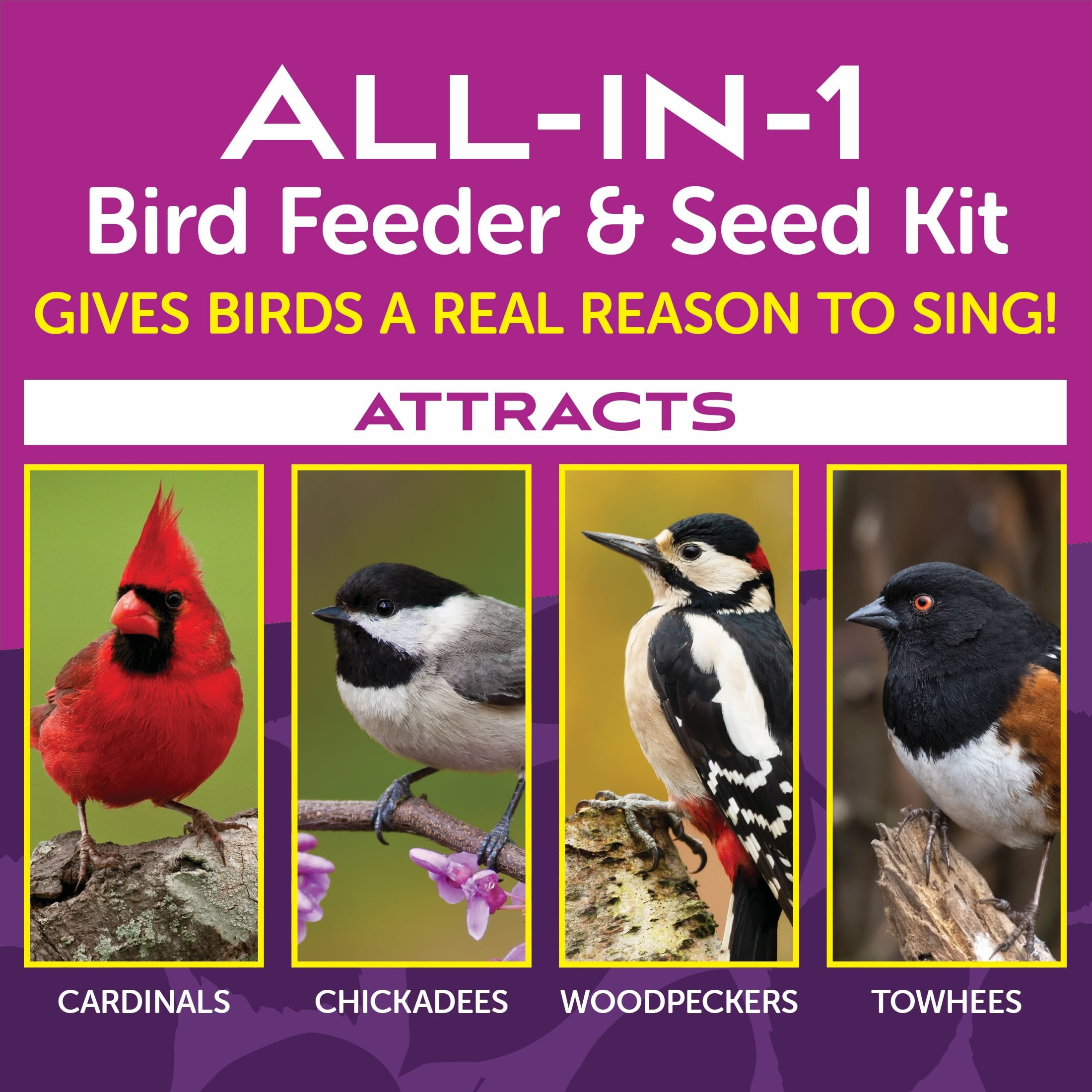 Pennington Black Ecozebo 6lb Capacity Wild Bird Starter Kit with Bird Feeder and Feed